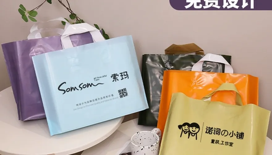 Apparel shopping bags branded design