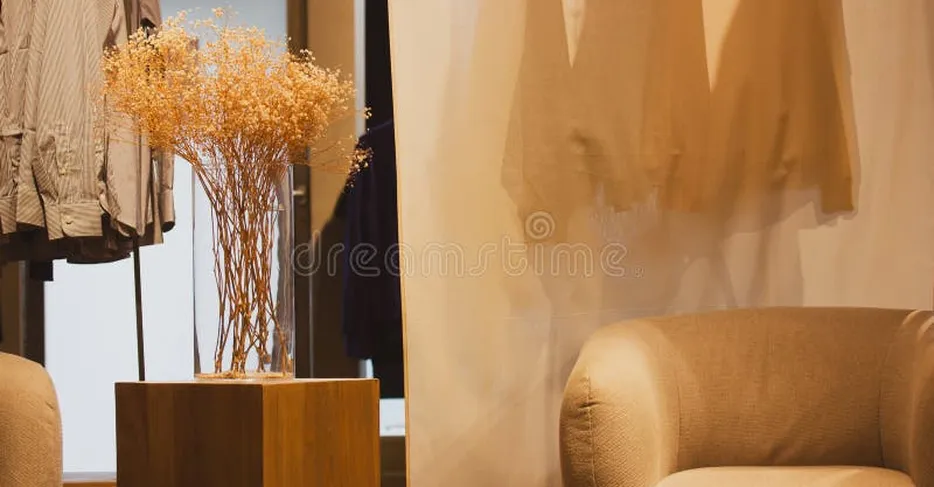 Clothing store dressing room elegant